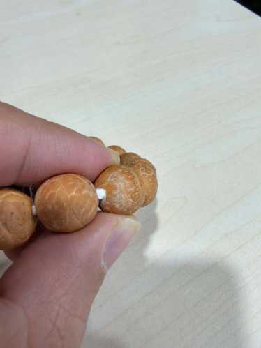 尼泊尔凤眼菩提产区分析,高海拔环境决定眼型质感与盘玩潜力 尼泊尔凤眼菩提产区分析,高海拔环境决定眼型质感与盘玩潜力