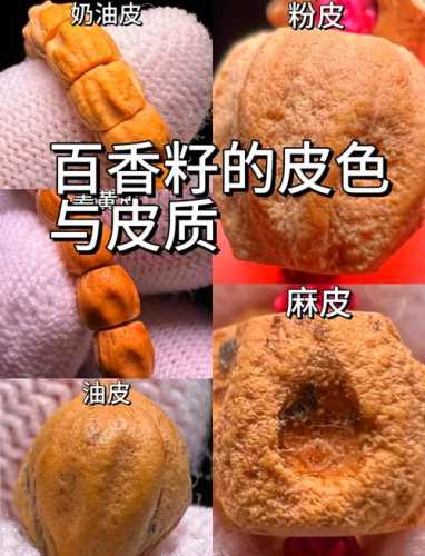 百香籽多产区辨析,热振、青海、甘肃料外观皮质特征对比 百香籽多产区辨析,热振、青海、甘肃料外观皮质特征对比