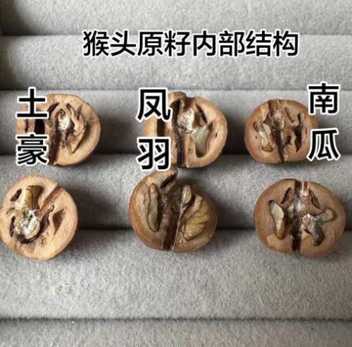 猴头核桃菩提产地特征,北美与国产料皮质、果壁厚薄区别 猴头核桃菩提产地特征,北美与国产料皮质、果壁厚薄区别