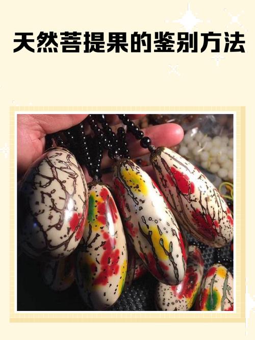 原生态菩提原籽特征,不同产地天然果皮与成熟度辨别要点 原生态菩提原籽特征,不同产地天然果皮与成熟度辨别要点