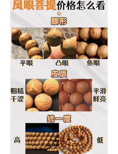 原生态菩提原籽特征,不同产地天然果皮与成熟度辨别要点 原生态菩提原籽特征,不同产地天然果皮与成熟度辨别要点