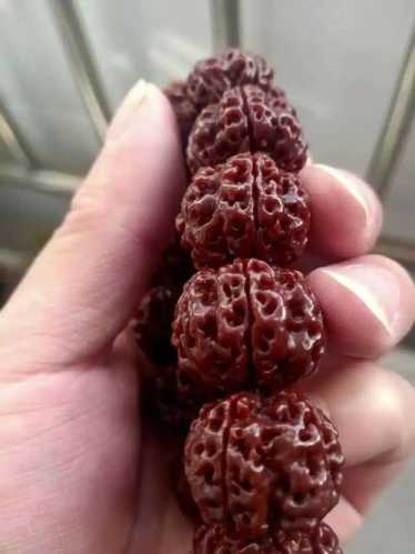 金刚菩提新料老料产地差异，存放风化带来皮质色泽变化规律
