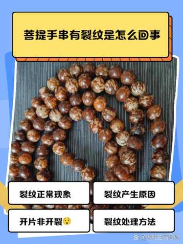 各类菩提开裂成因，产地环境决定籽料稳定性与抗裂特性
