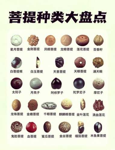 各类菩提开裂成因，产地环境决定籽料稳定性与抗裂特性