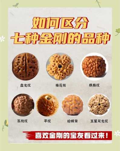 菩提产地品相评判体系,皮质、纹路、密度综合衡量标准 菩提产地品相评判体系,皮质、纹路、密度综合衡量标准