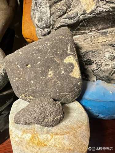 收藏象形石不必求大，小巧精品象形石也有看点