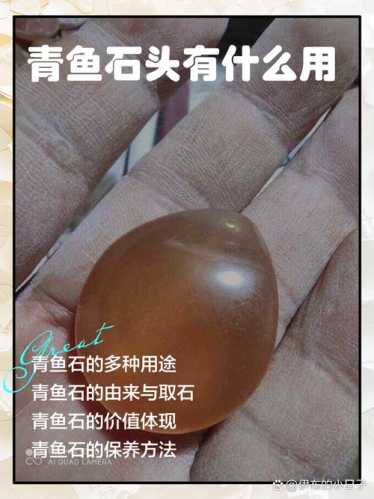 石友分享鱼子石收藏经验，小众赏石品类怎么入门