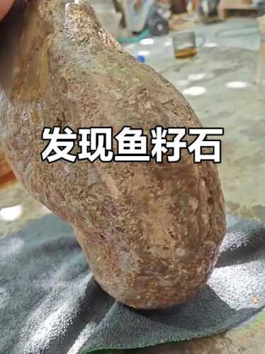石友分享鱼子石收藏经验，小众赏石品类怎么入门