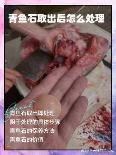 鱼子石清理方法，轻柔清理保护鱼子石原生皮壳
