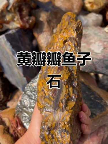 玩鱼子石别只看颜色,颗粒均匀度才是重点 玩鱼子石别只看颜色,颗粒均匀度才是重点