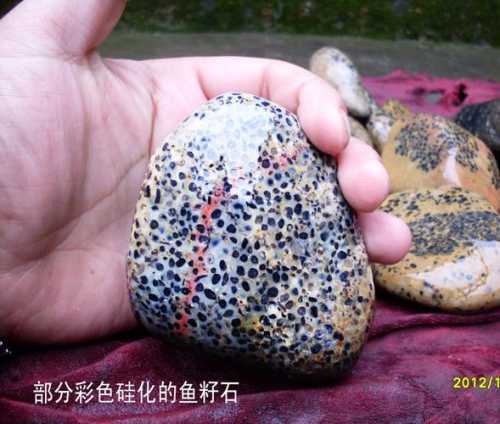 新手选购鱼子石，看颗粒分布辨别鱼子石真假