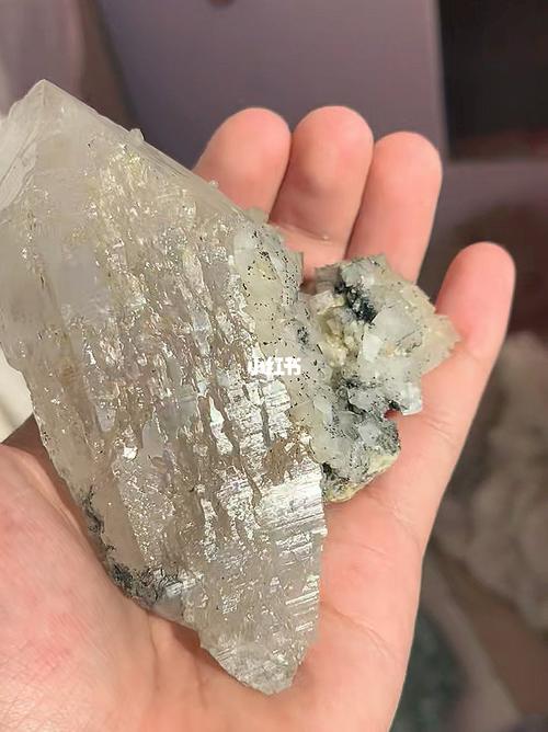 新手收藏皱纹石，优先选完整无破损的原石