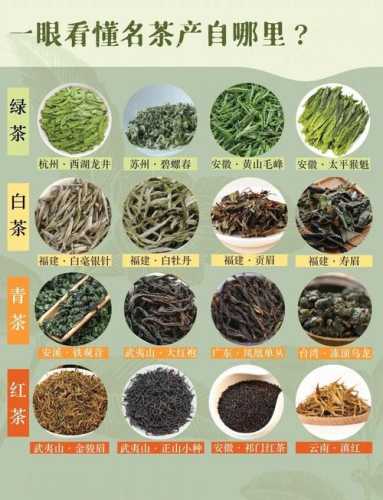 茶叶品鉴入门，新手学会分辨茶叶品质好坏