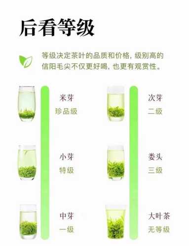 茶叶品鉴入门，新手学会分辨茶叶品质好坏