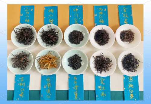 茶叶品鉴看干茶、汤色、叶底，三步看懂茶叶