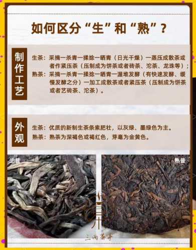 老茶品鉴误区，不是所有陈放茶叶都是好茶