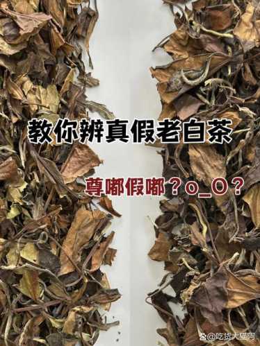 市场仿老茶常见手段，做旧老茶识别小技巧