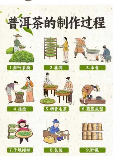 传统茶艺汇锦，民间流传的经典茶艺流程赏析