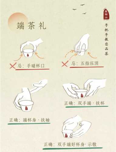 茶艺实操避坑，新手泡茶容易犯的几个错误