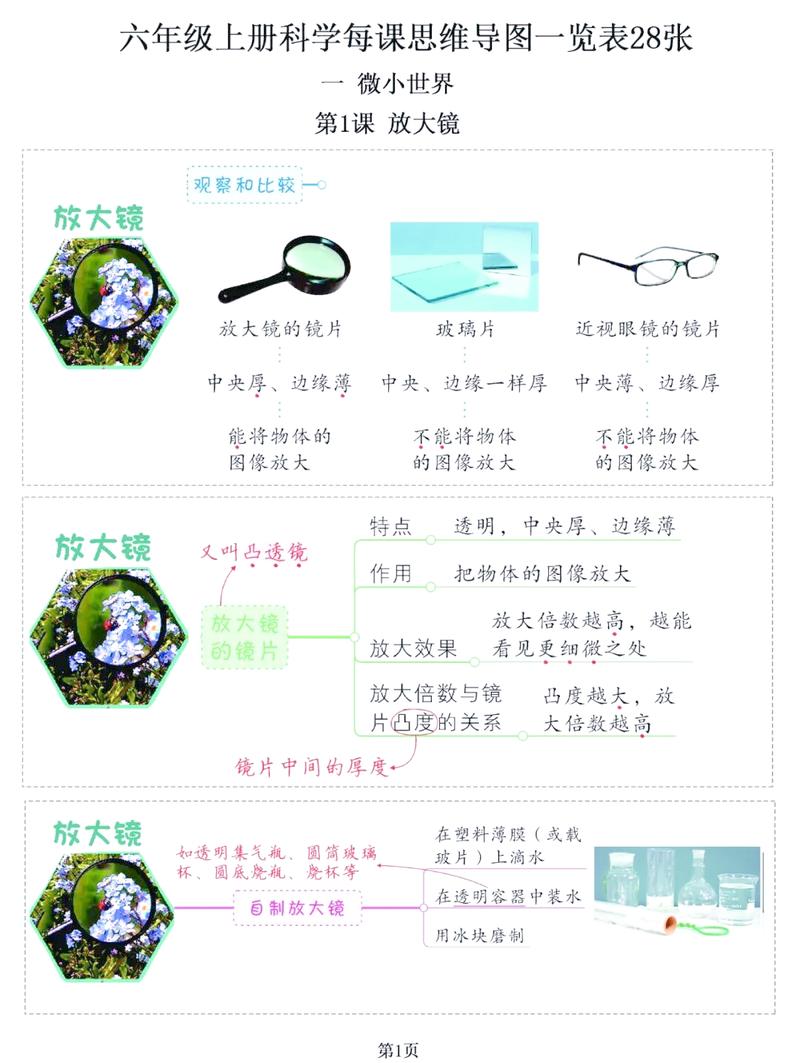 野趣微观器材,入门级放大镜与显微镜选择 野趣微观器材,入门级放大镜与显微镜选择