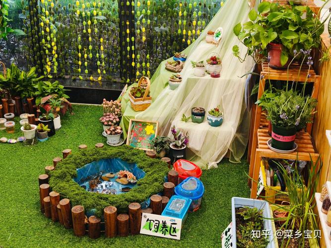 野趣微观玩法,在家搭建简易微观观察小空间 野趣微观玩法,在家搭建简易微观观察小空间