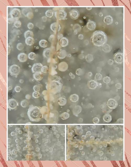 实景微观瓷器,自然光下看釉面老化特征 实景微观瓷器,自然光下看釉面老化特征