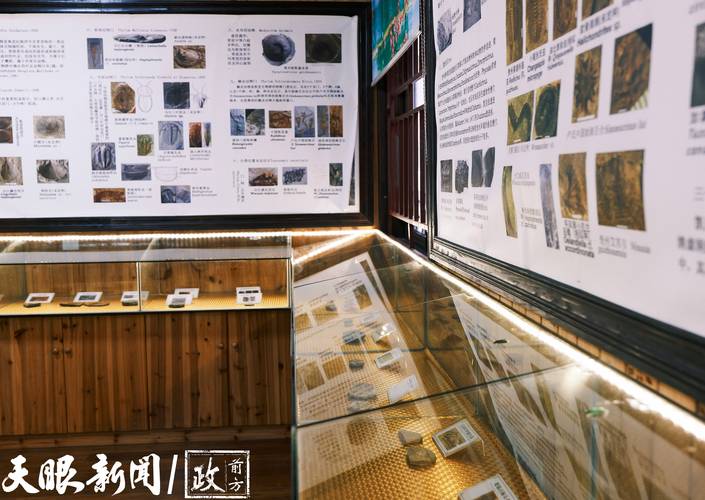 实景微观记录,建立藏品实景微观档案 实景微观记录,建立藏品实景微观档案